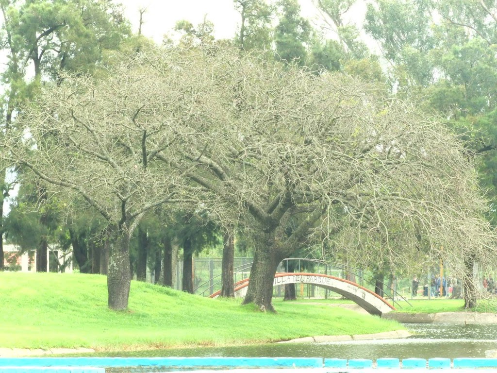 Parque Juan de Garay 6